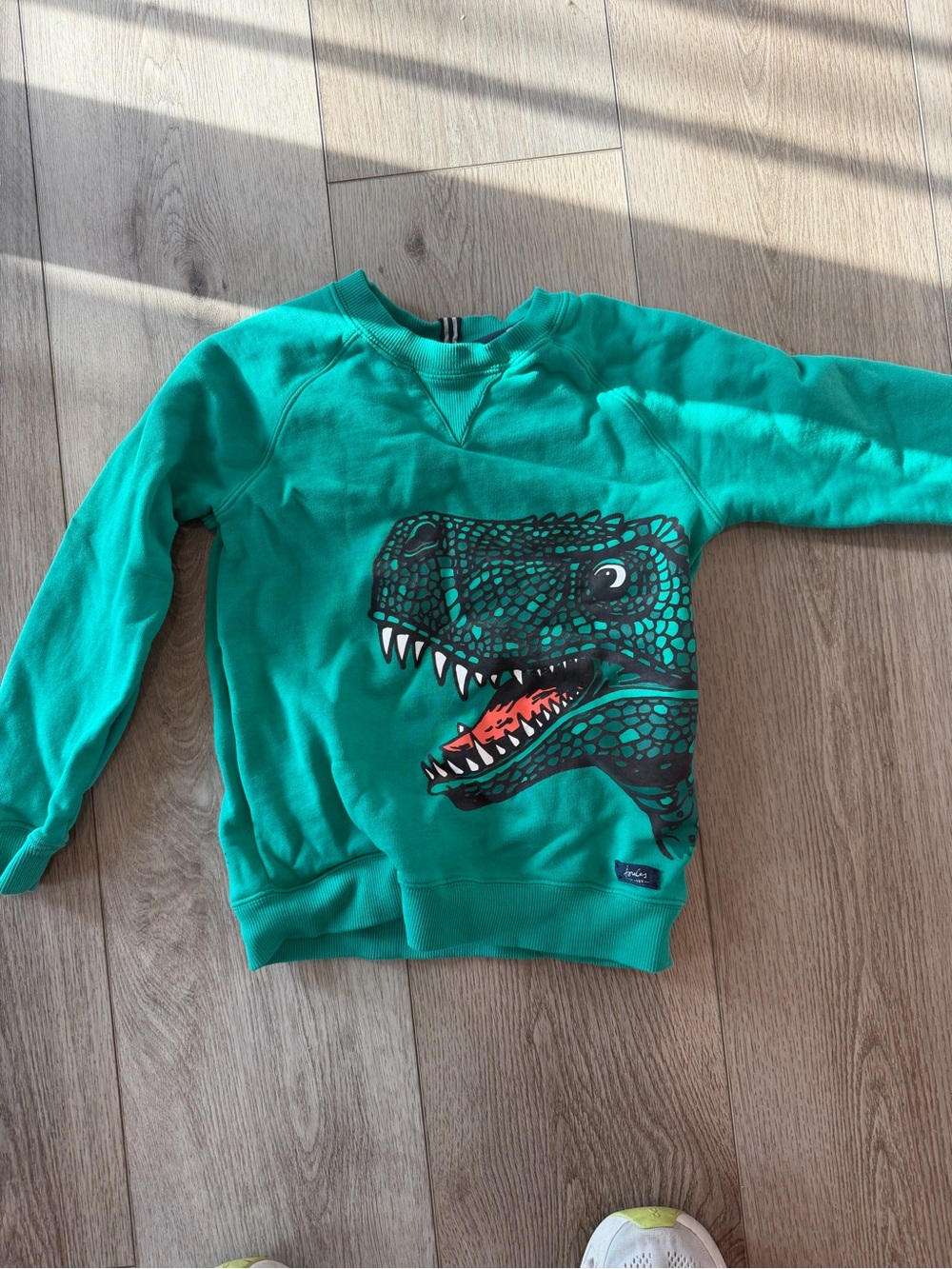 Joules Teal Dinosaur Graphic Sweatshirt